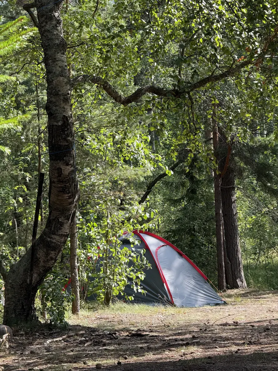 Ladoga camp photo 15