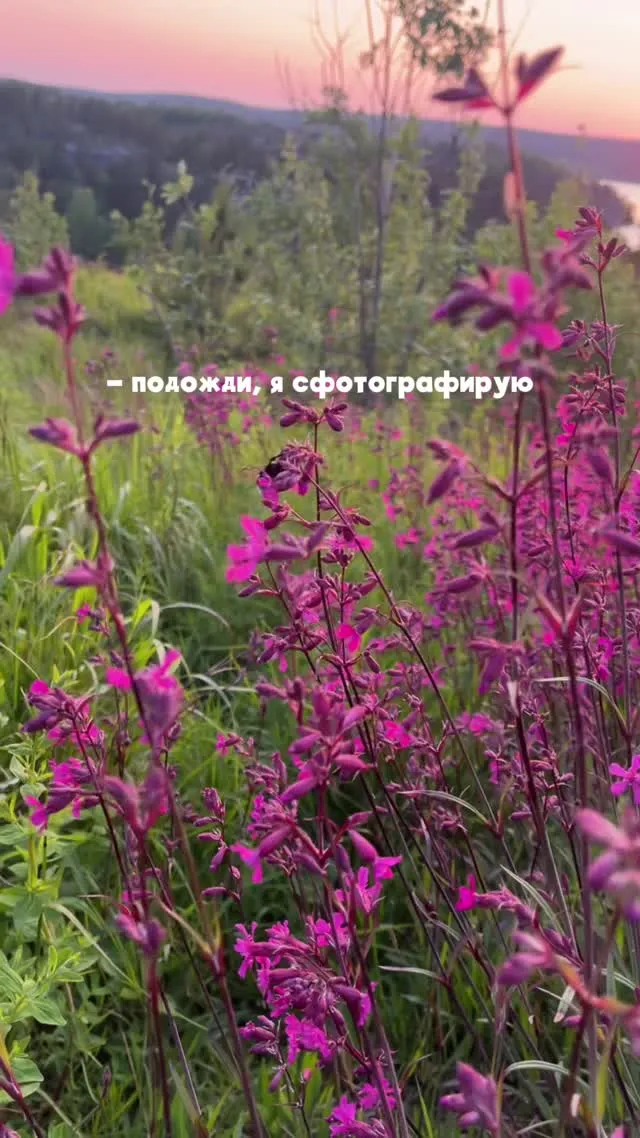 SUP — превью истории